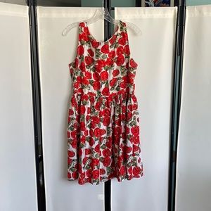 Sunday in Brooklyn red rose dress size M